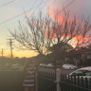 Meet your Posher, Myra